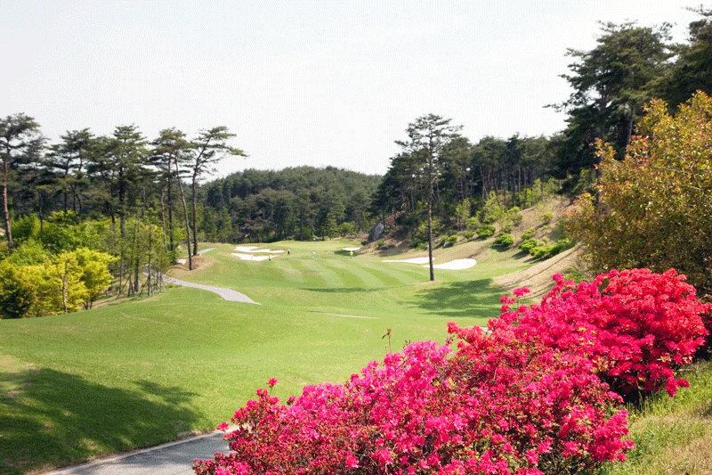 라카이샌드파인CC 코스 상세 18홀 Par72 진달래 그린 코스 공략 가이드