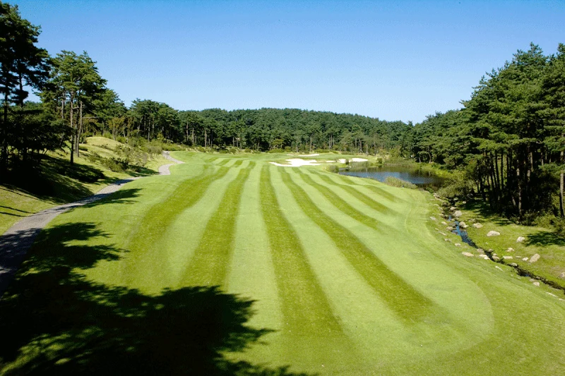 라카이샌드파인CC 페어웨이 코스 전경 36홀 Par72 총거리 7,150야드 그린피 예약 안내