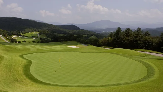 포천아도니스CC 시그니처홀 8번 홀 (Par 3, 175m) 난이도3.5 코스 공략법