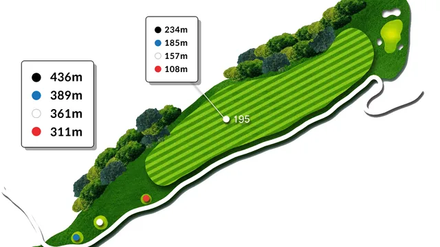 세이지우드홍천CC 시그니처홀 7번홀 (Par 3, 185m) 난이도4 코스 공략법