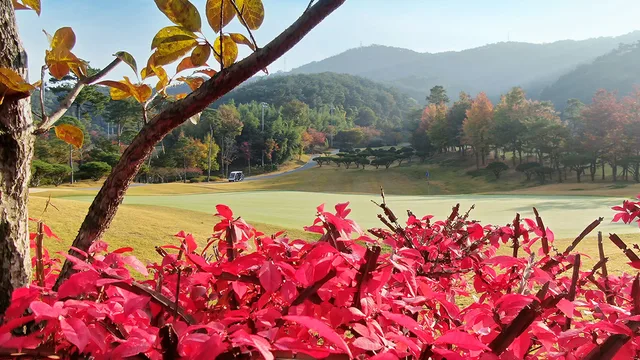 석정힐CC 마운틴코스 코스 전경 18홀 Par72 총거리 6,132m 그린피 예약 안내