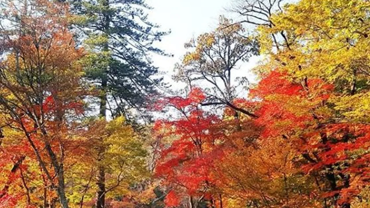 통영동원로얄CC 한려 코스 (OUT) 코스 전경 18 Par72 총거리 6,500m (18홀) 그린피 예약 안내